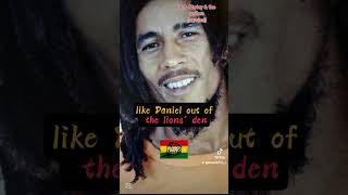 Bob Marley survival #reggae #bobmarley #reggaeton #reggaemusic