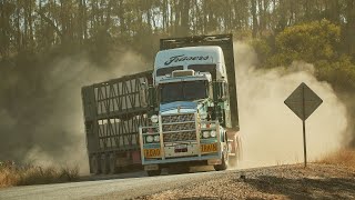 Life as an outback cattle transporter  Fraser's Transport