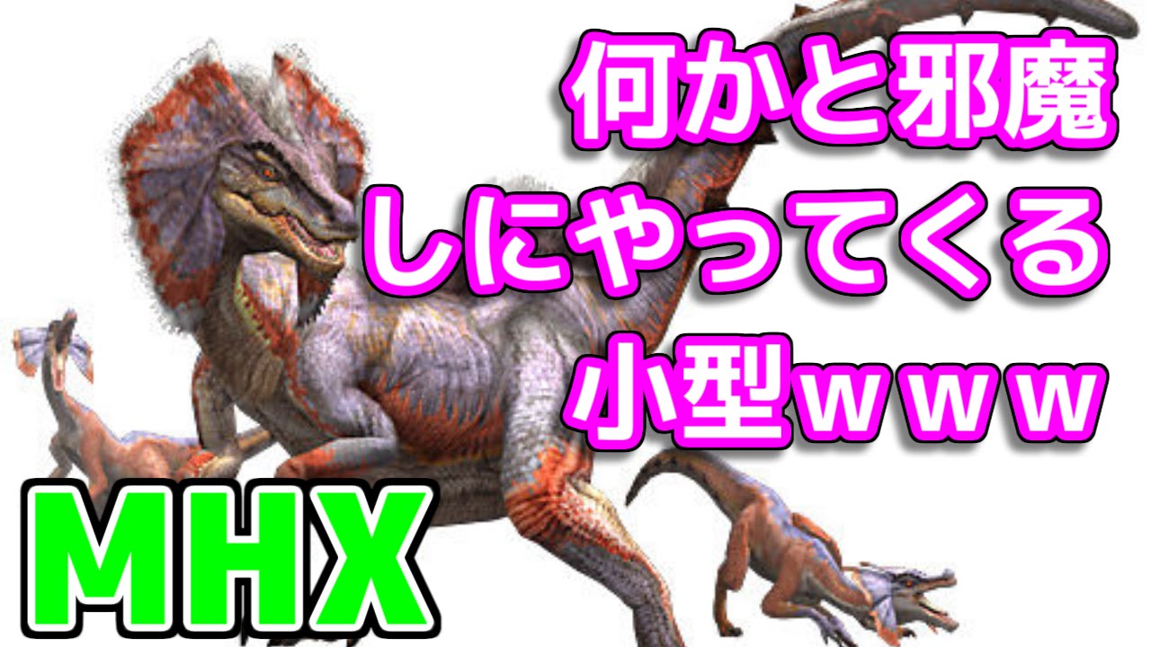 Mhx 大型モンスターを狩った途端邪魔しにやってくる小型ｗｗｗ モンハンクロス Youtube