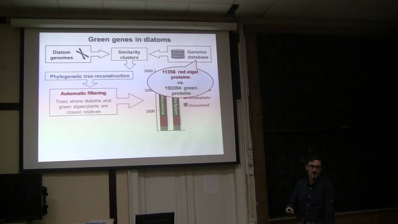 Bioseminars.ru: Origins of life and early evolution of eukaryotes 6 ...