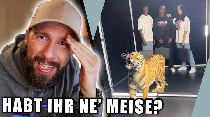 Echten Tiger fr einen Fashion-Shooting ausgenutzt ...