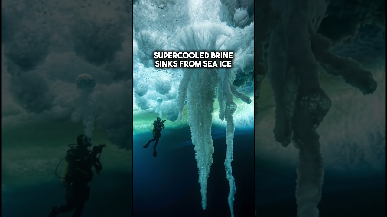 This Ice Kills Everything It Touches