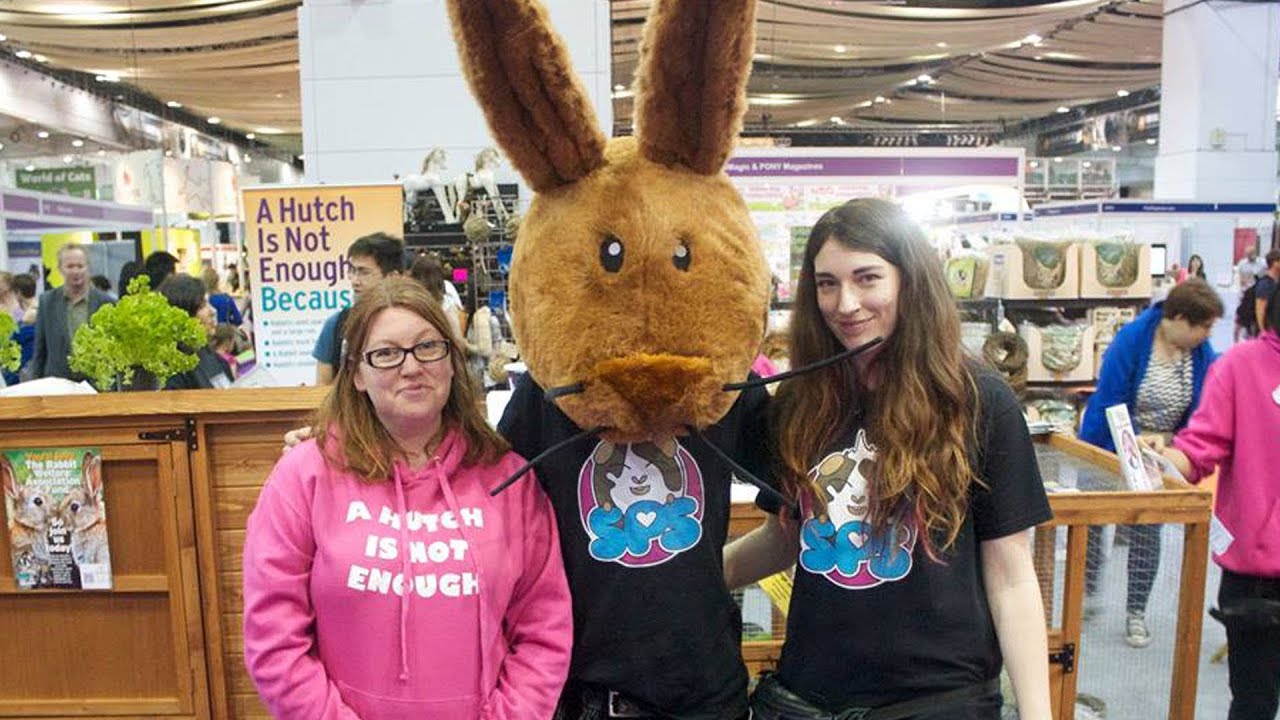 Rabbits at the London Pet Show - YouTube