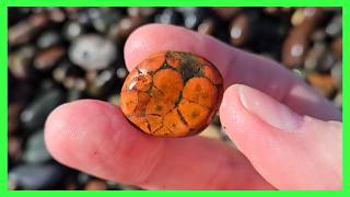 I Didn’t Expect These Beautiful Rocks… Relaxing California Beach Hunt