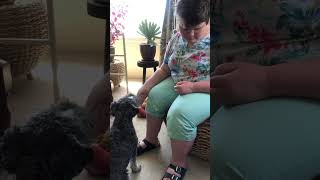 Carrots and cuddles with Jeffrey the dog 🐕🐕🐕🐕 by Hakas, kittens and more 48 views 3 months ago 1 minute, 42 seconds