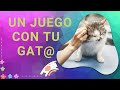 ¿TU GATO OYE RUIDOS QUE TÚ NO PUEDES OIR? DEMOSTRACIÓN  Y JUEGO 😳�