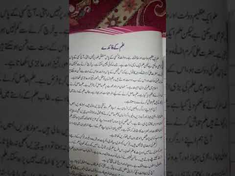 Our school essay in urdu