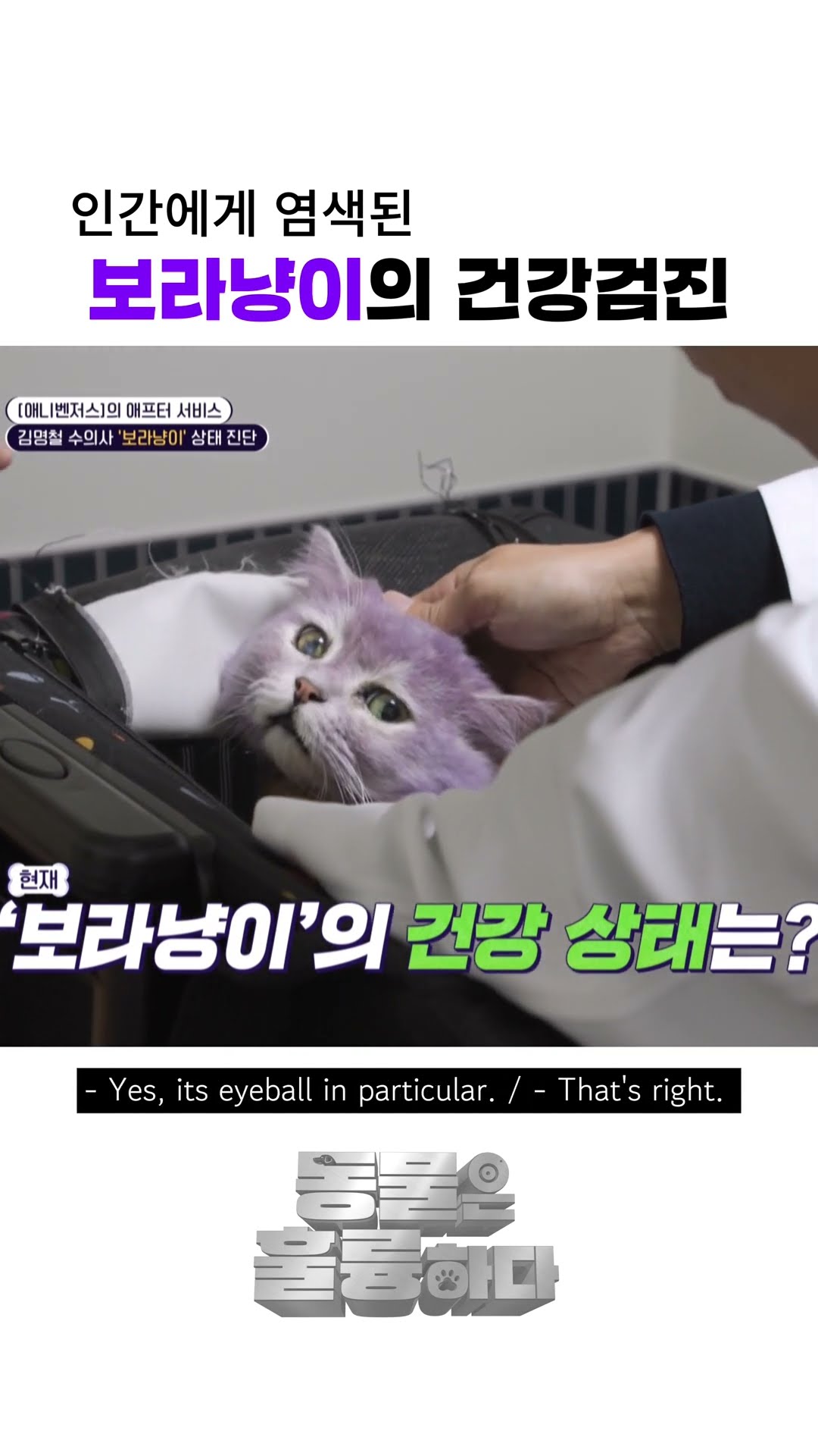 How pity? #animalsareincredible #animals | KBS WORLD TV