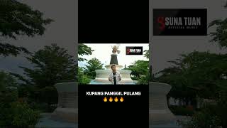 Download Lagu Kupang Panggil Pulang #shorts MP3