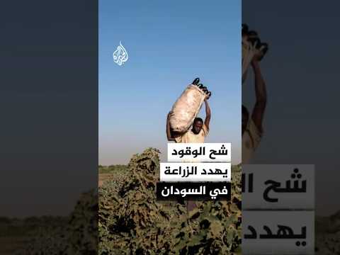 شح الوقود يهدد الزراعة في السودان ووزير المالية يتعهد بالعمل على تمويل مدخلات الإنتاج