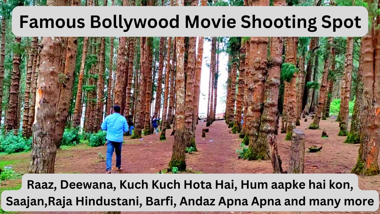 9th Mile Shooting Point Pine Forest Bollywood Movie Shooting Spots 9th Mile Shooting Point Pine Forest Bollywood Movie Shooting Spots