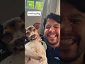 Funny dog #funny #funnyanimal #youtube #fyp #funnydog