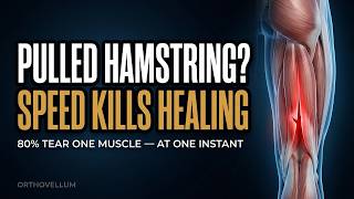 Hamstring Injuries — The Muscle That Tears at Full Speed