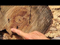 How to split firewood - beginner guide and tips How to split firewood - beginner guide and tips