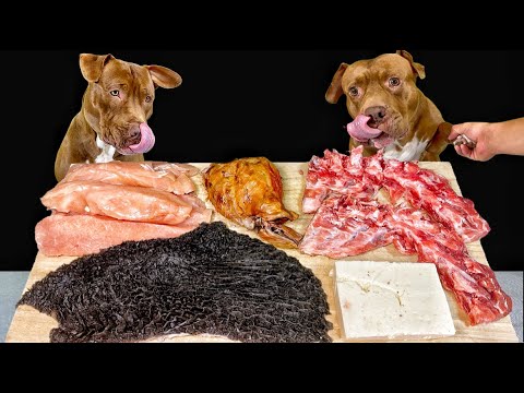 【睡眠導入ASMR】生肉や骨をボリボリ食べる犬の咀嚼音が心地いい