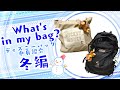 冬のディズニーバッグの中身大公開〜！【What's in my bag?】