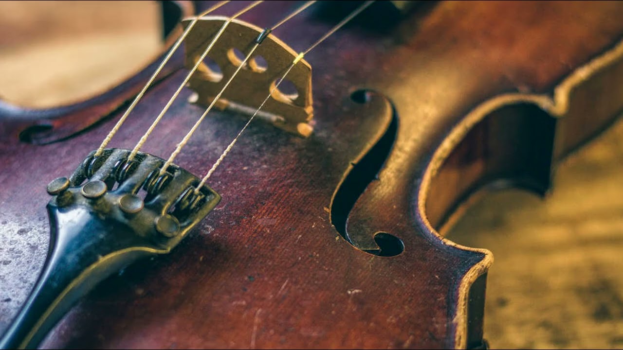 Folkmusikspecial i programserien 