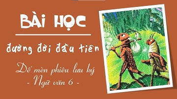 BÀI HỌC ĐƯỜNG ĐỜI ĐẦU TIÊN - NGỮ VĂN 6; Trích đoạn DẾ MÈN PHIÊU LƯU KÝ @NGHEKECHUYENHAY