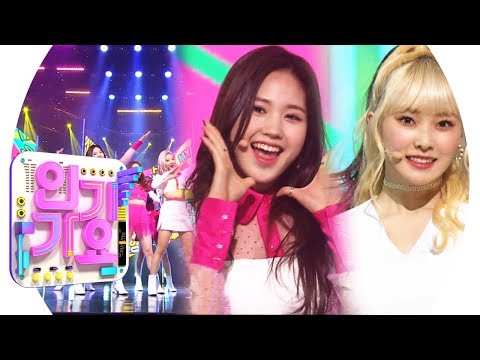 DreamNote(드림노트) - Hakuna matata(하쿠나마타타) @인기가요 Inkigayo 20190324