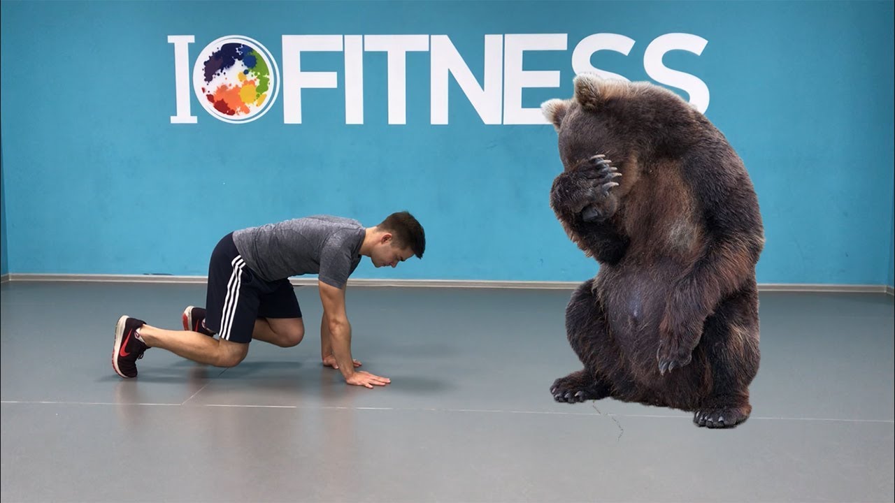 Тренинг животных