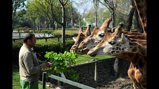 Bursa Hayvanat Bahçesi / Bursa Zoo by Sevikas 36,496 views 4 years ago 20 minutes