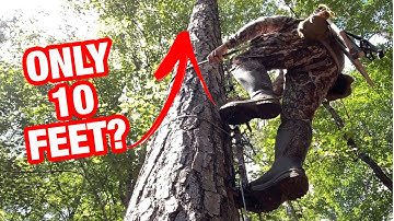 How Many Climbing Sticks Do I Need for Saddle Hunting?