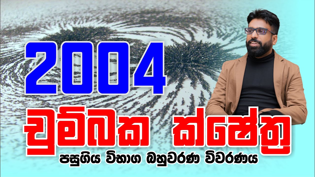 Mahen Jecob | චුම්බක ක්ෂේත්‍ර | Magnetic Fields | 2004 MCQ