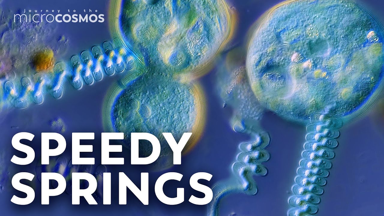 Flinching Saves Lives in the Microcosmos