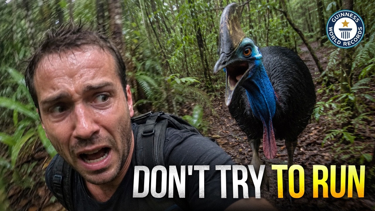 Guinness Record: The Most Dangerous Bird on Earth