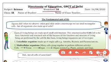 Science Worksheet 18 Class 9(16/8/21)English Medium / Worksheet 18 Science Class 9/ Worksheet Sci 18