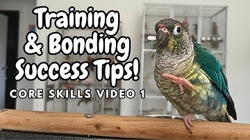 Bird Training Tips For Bonding Success - Core Parrot Training Skills Video 1 | TheParrotTeacher