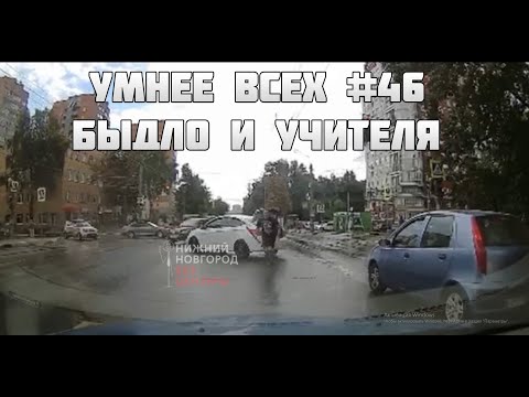 УМНЕЕ ВСЕХ #46. БЫДЛО И УЧИТЕЛЯ НА ДОРОГЕ
