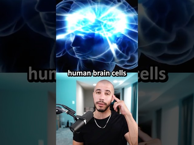 We Got Biological Data Centers Now