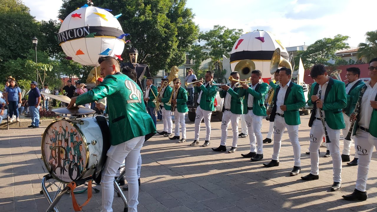 Naranja dulce🍊 Porque te vas | BANDA PEQUEÑA DEL VALLE🎺 CALENDA DE LA SALLE 2023📸