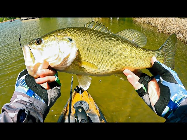 Matt Cook, Bass Fishing