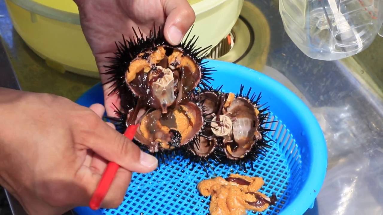 利尻島の甘露泉水 日本名水百選にも選ばれた利尻富士の伏流水