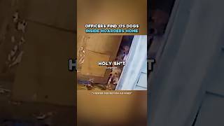 Officers SAVE 175 Dogs Living In Hoarders Home 😨