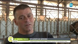 "Да хванеш гората": Швейцарски бизнесмен с ферма за кози у нас