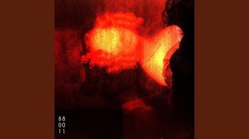 Transient Global Amnesia Act 2