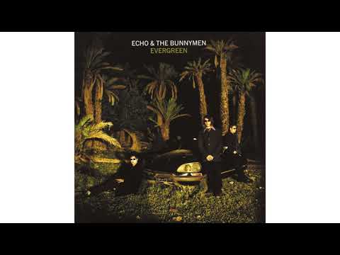 Putar In My Time - Echo and the Bunnymen