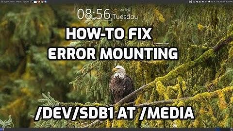 How-To Fix ​​Error Mounting /Dev/Sdb1 at /Media/