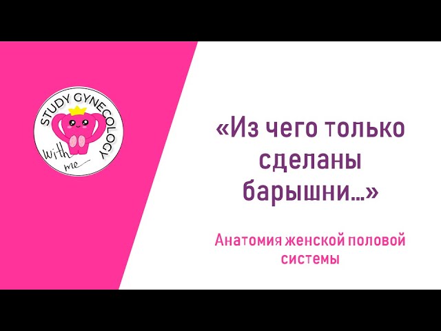 ГИНЕКОЛОГИЯ Анатомия и топография | Органы женской половой системы - К ЭКЗАМЕНУ
