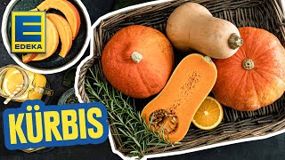 Kürbis-Rezepte I Einfache Gerichte mit Hokkaido & Butternut