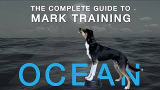 The Complete Guide to Mark Training -- An On-Demand Course with Dev Sperber