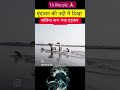 # वृंदावन के नदी में दिखा कालिया नाग 🙏🎬 /#trending /#funnyshorts /#wiral