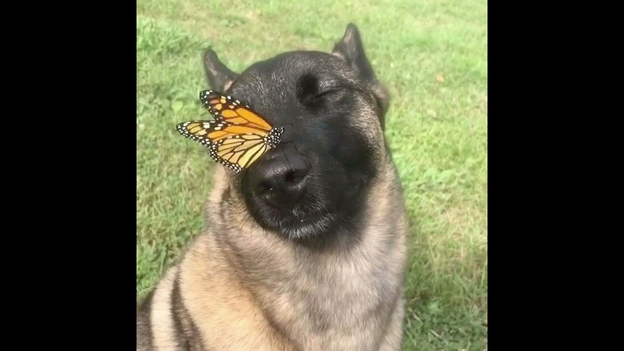 (FREE) Rusowsky x Ralphie Choo Cumbia Type Beat - 