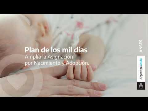 Plan de los mil días