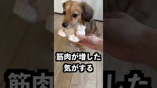 弟に兄がマッチョになってるドッキリ仕掛けてみた！