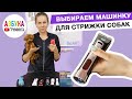 Как выбрать машинку для стрижки собак? Для дома или для Профи? Скупой платит дважды