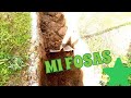 Hodiaŭ mi fosas.